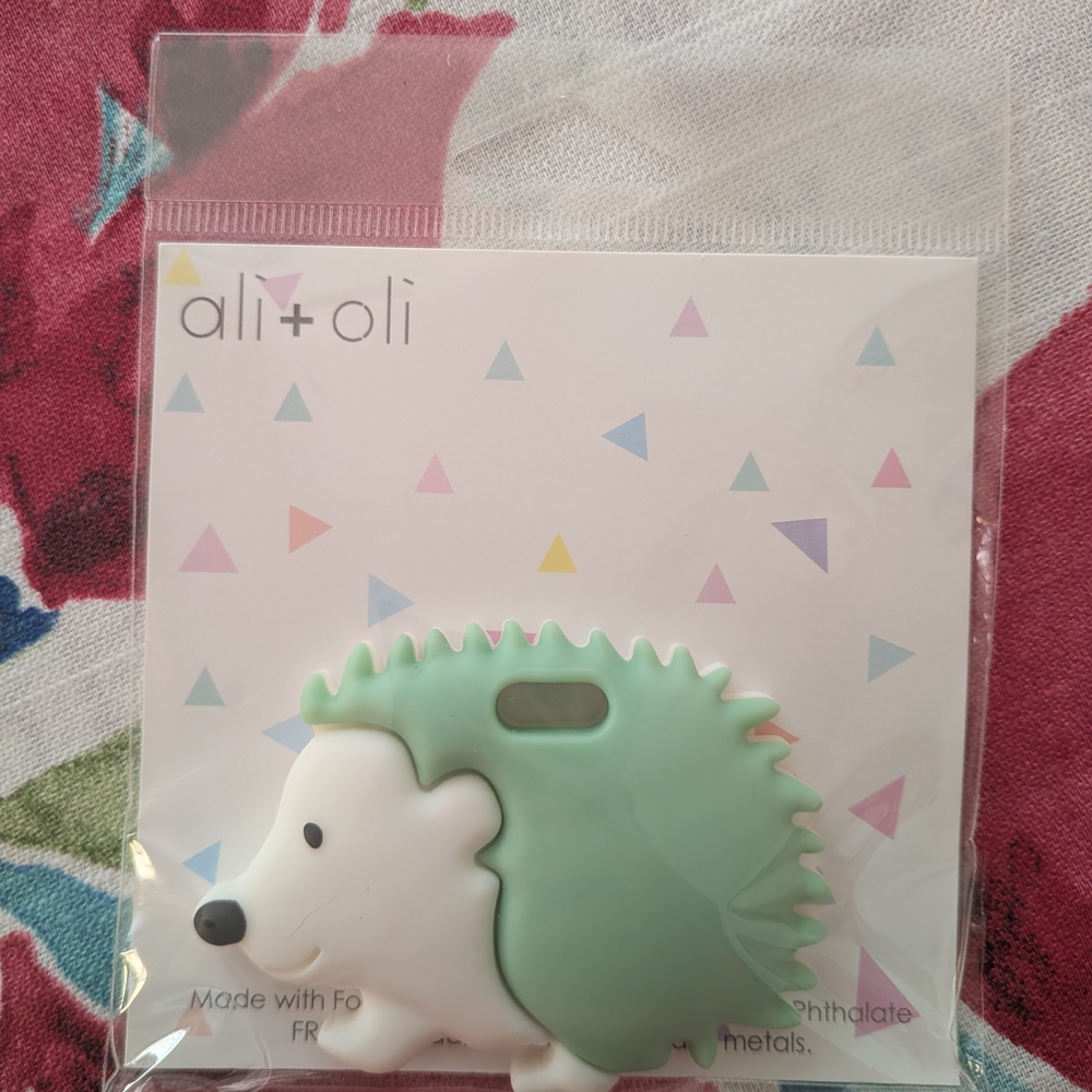 Ali+Oli Unisex Baby Hedgehog Silicone Teether White Green New